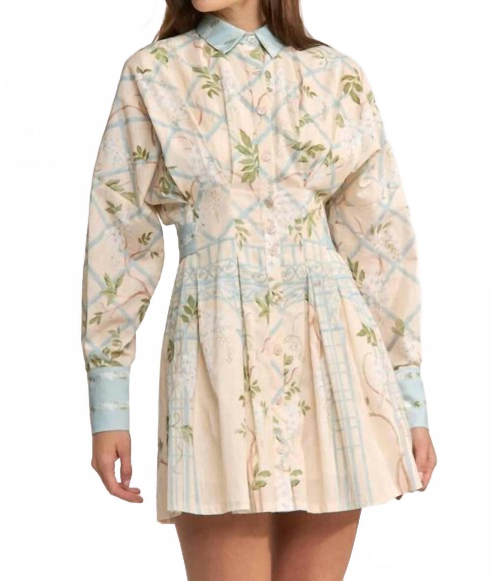 NEW EN SAISON georgina mini shirt dress in cream blue olive